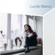 Підвіконня Danke Lucido Bianco 1000х600мм Білий глянець 2579 фото 3